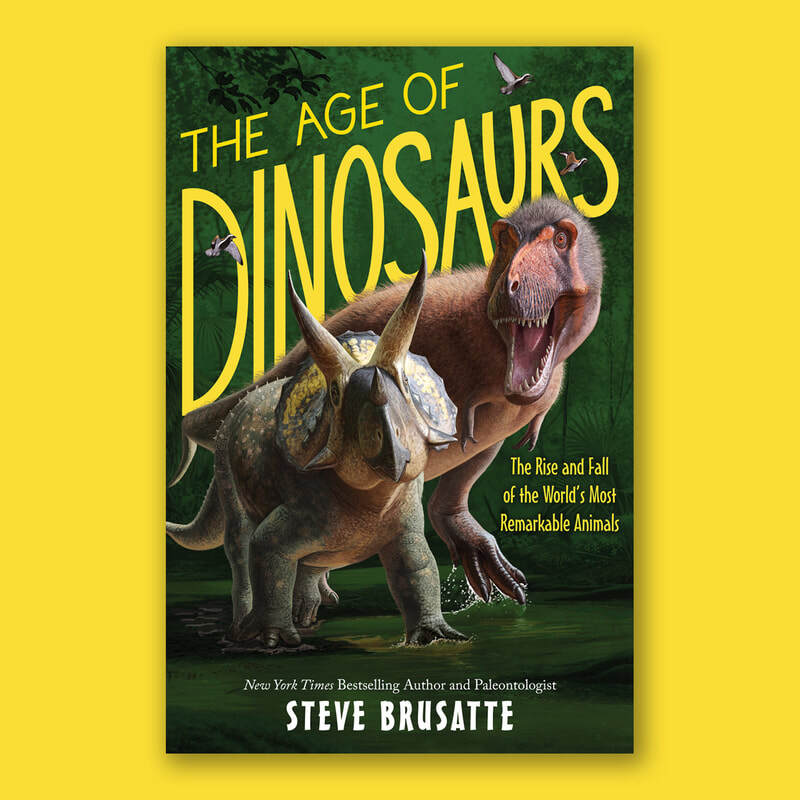 Book Design